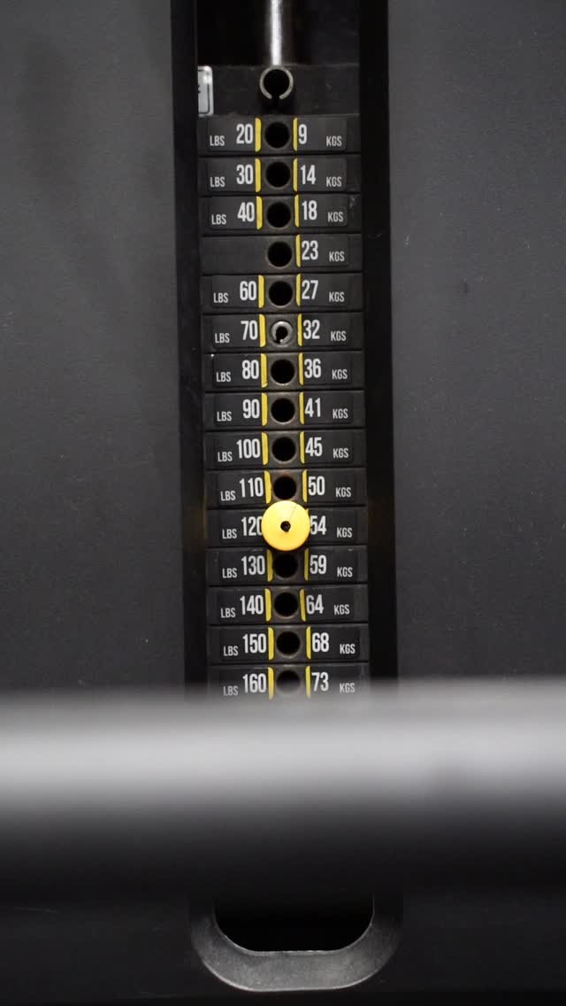 Selectorised weight stack